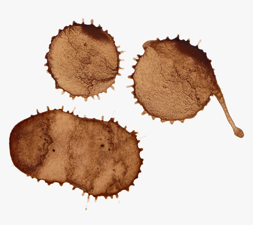 Transparent Coffee Cup Stain Png - Transparent Coffee Splash, Png Download, Free Download