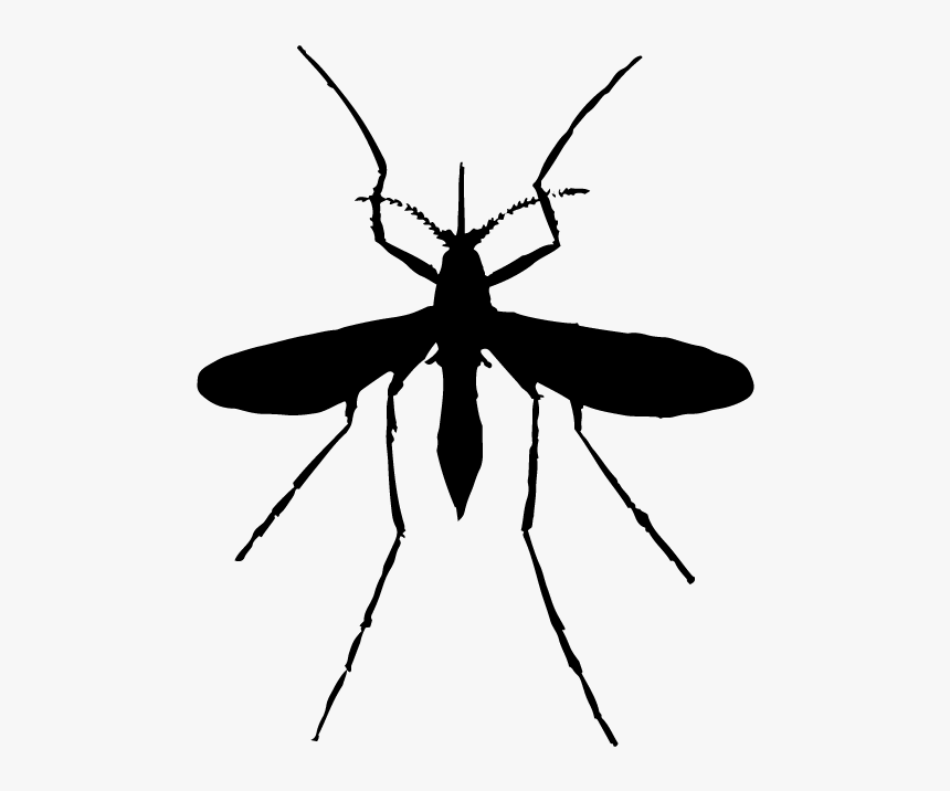 Transparent Mosquito Silhouette Png - Mosquito Silhouette Png, Png Download, Free Download