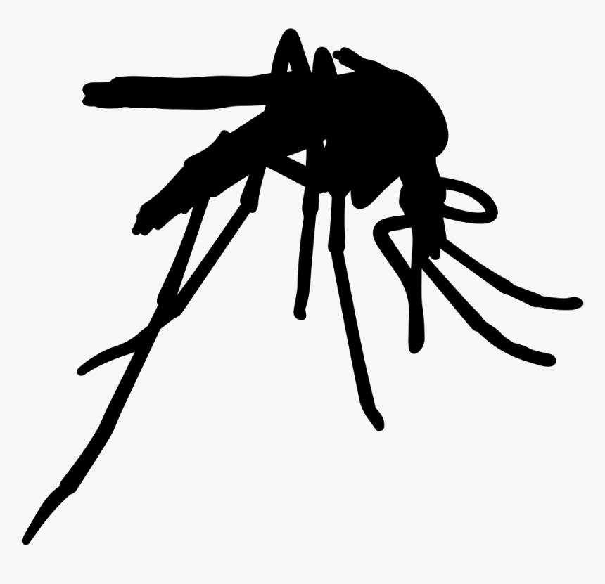 Mosquito - Mosquito Icon Png, Transparent Png, Free Download