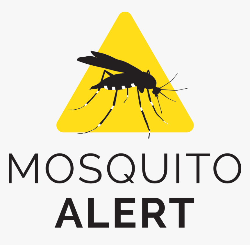 Transparent Mosquito Silhouette Png - Mosquito Alert, Png Download, Free Download