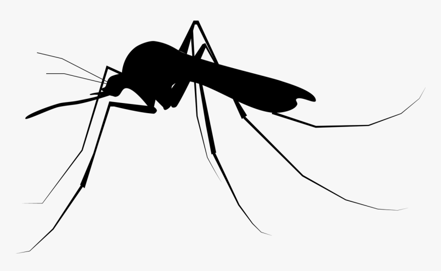 Mosquito Icon, HD Png Download, Free Download