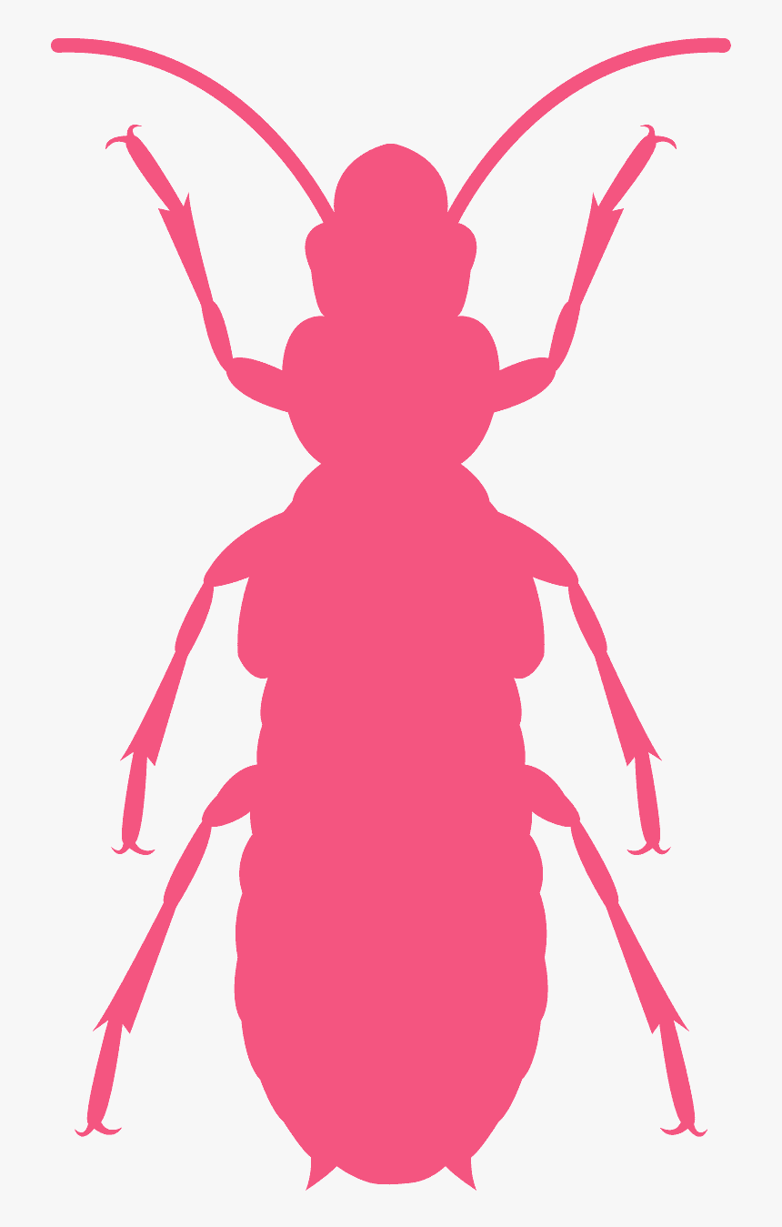 Termite Silhouette, HD Png Download, Free Download