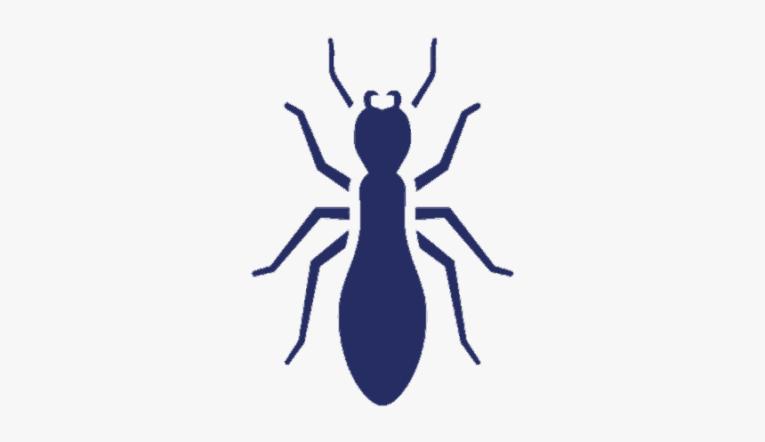 Termites-uspest - Termite Icon, HD Png Download, Free Download