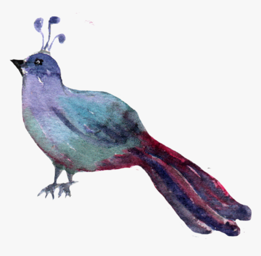 Ftestickers Watercolor Clipart Woodlandcreatures Bird - Indigo Bunting, HD Png Download, Free Download
