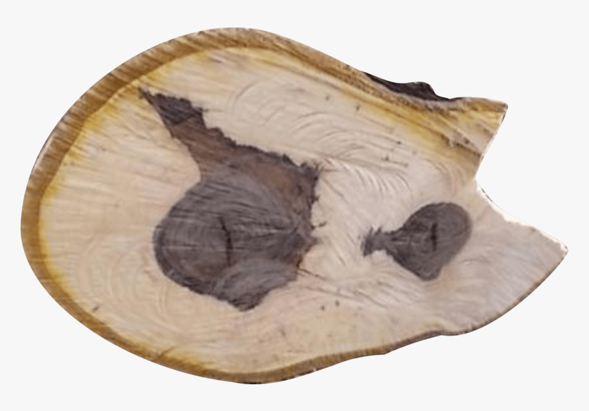 The Grain Of Walnut Wood Is Usually Straight, Has A - Driftwood, HD Png Download, Free Download