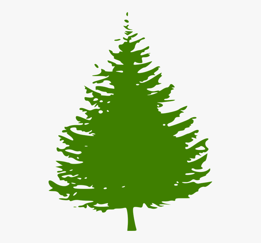 Pine, Tree, Christmas Tree, Green, Ecology, Environment - Green Pine Tree Silhouette, HD Png Download, Free Download