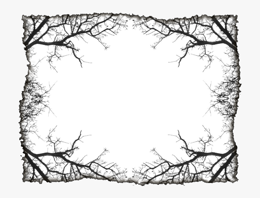 Gothic Frames Png, Transparent Png, Free Download