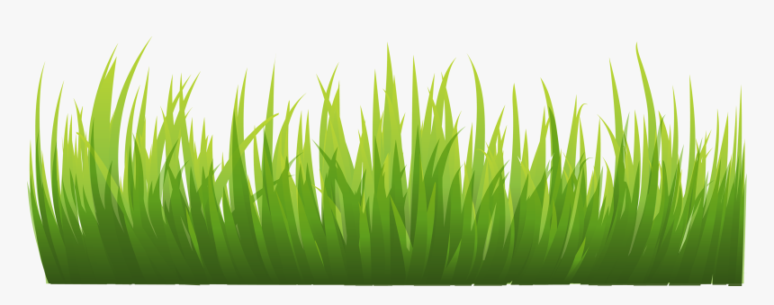 Grass Images Pictures Clipart - Grass Vector, HD Png Download, Free Download