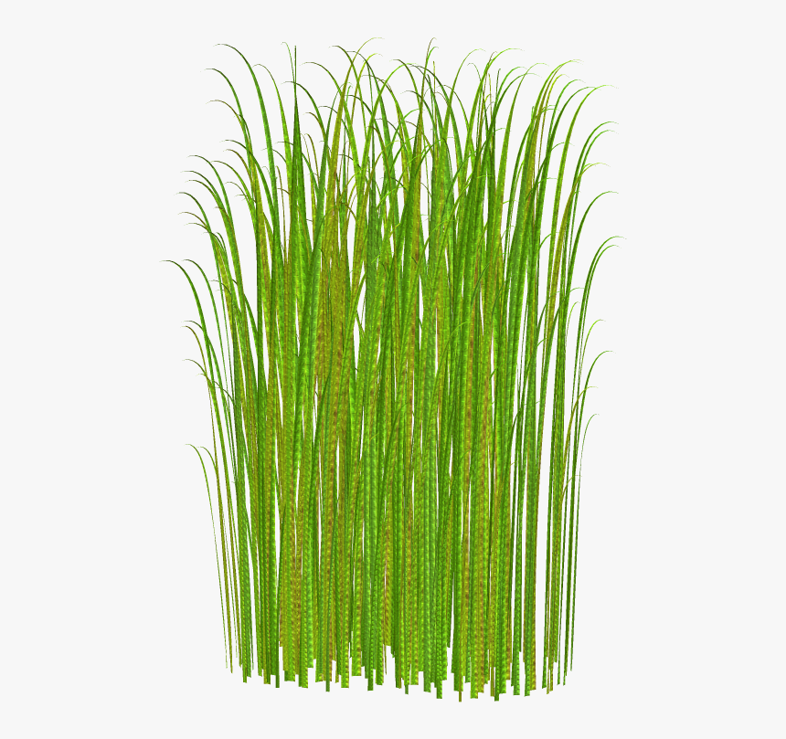 Jungle Grass Clipart - Grass Clipart, HD Png Download, Free Download