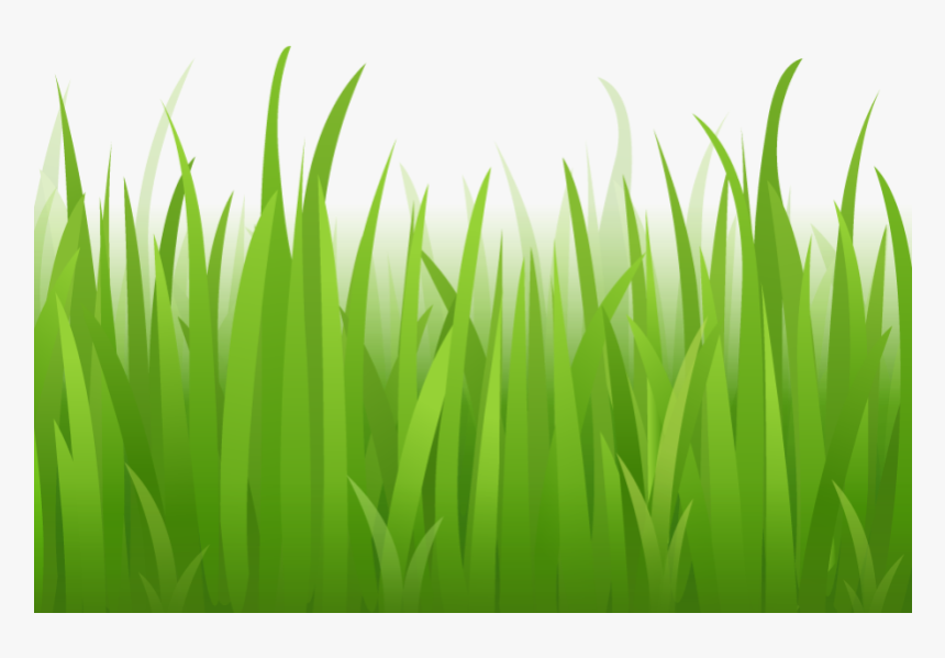 Grass Clipart Photo Gallery - Cartoon Grass No Background, HD Png Download, Free Download