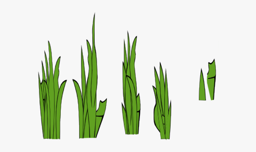 Sea Grass Clipart Jungle Grass - Grass Clip Art, HD Png Download, Free Download