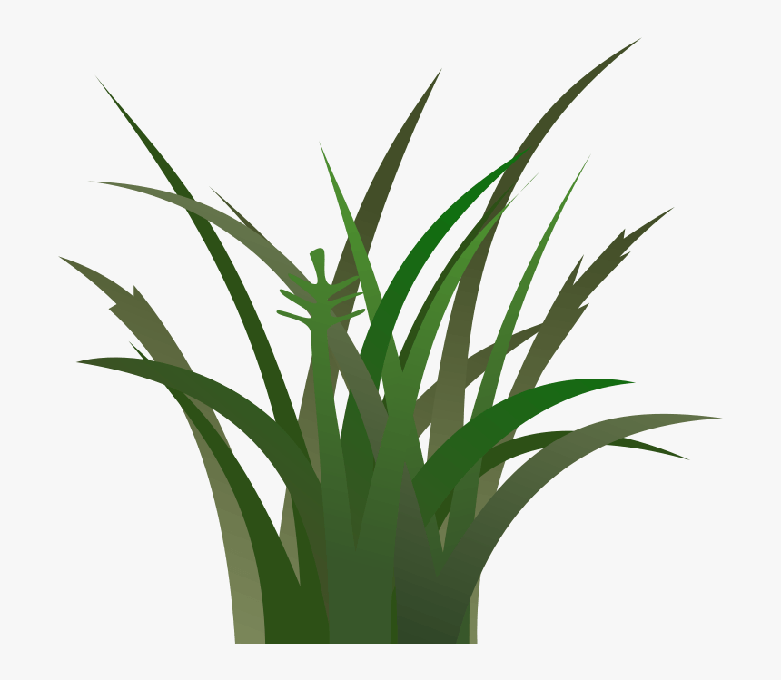 Jungle Clipart Jungle Grass - Dark Green Grass Clipart, HD Png Download, Free Download