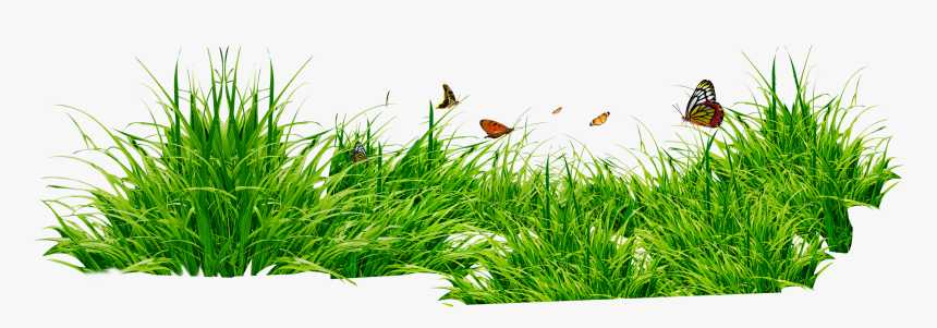 Grass Images In Png, Transparent Png, Free Download
