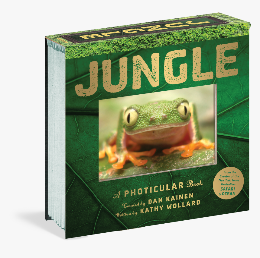 Jungle Hologram Kids Book, HD Png Download, Free Download