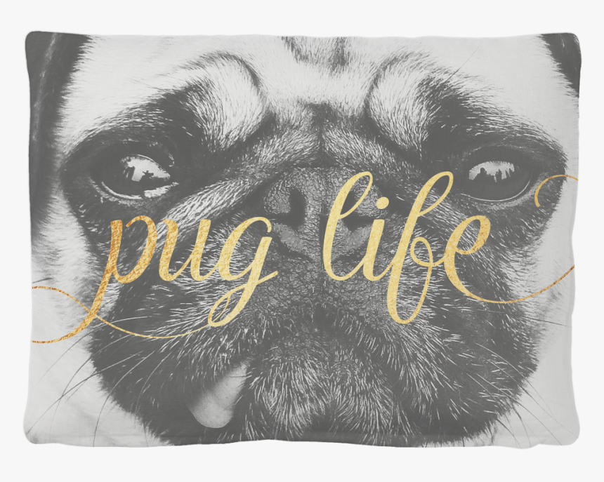 Pug, HD Png Download, Free Download