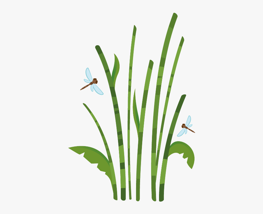 Grass, HD Png Download, Free Download