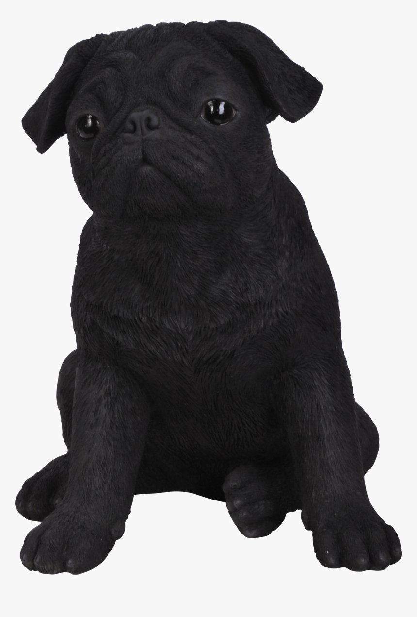 Black Pug Png - Pug Png Black, Transparent Png, Free Download