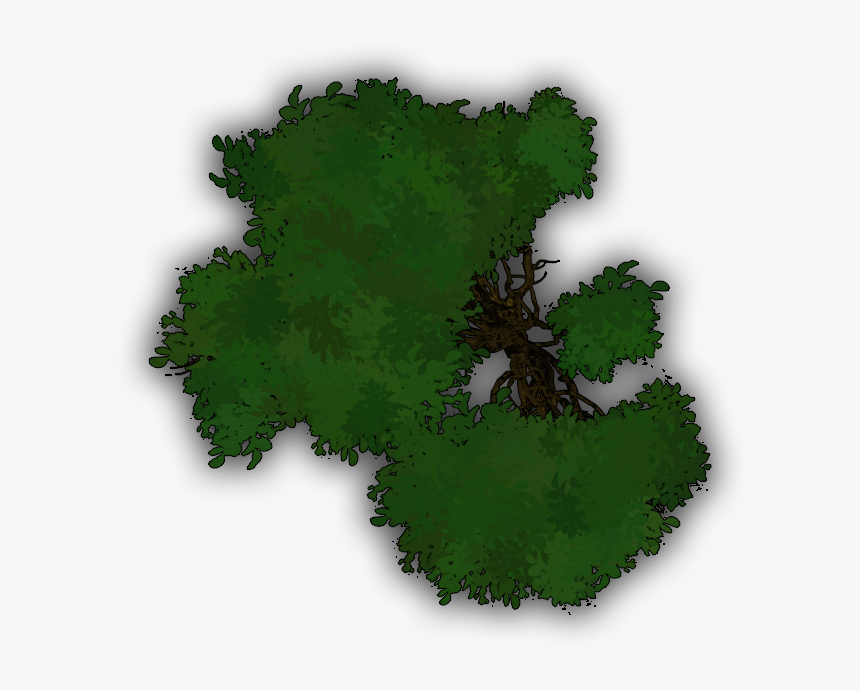 Tree, HD Png Download, Free Download