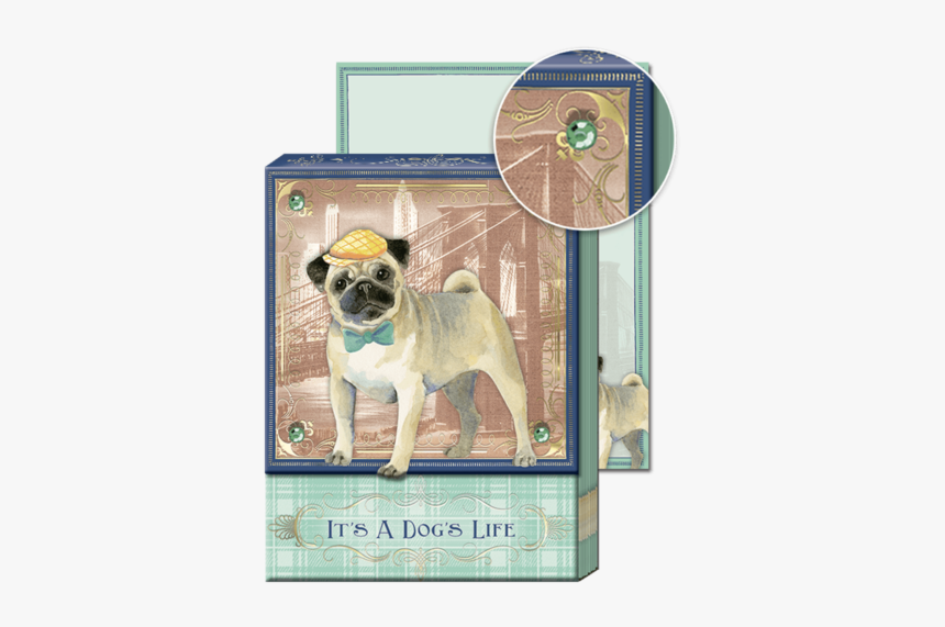 Pug, HD Png Download, Free Download