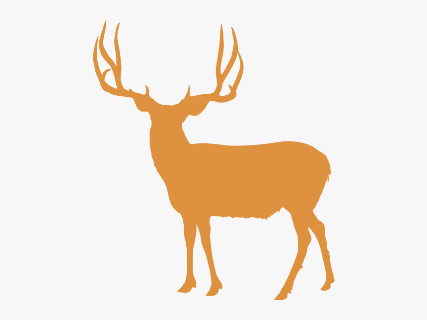 Elk White-tailed Deer Reindeer Utah - Utah Mule Deer Hunting Units, HD Png Download, Free Download