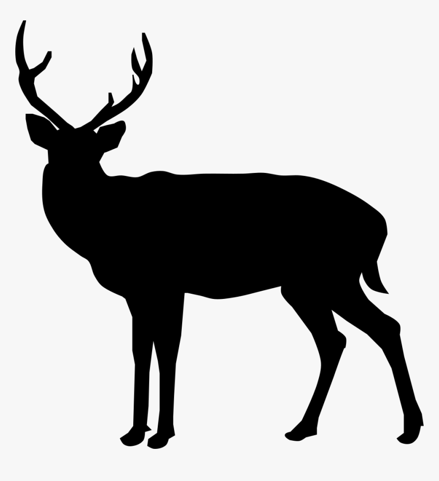 Buck Deer Silhouette - Buck Deer Silhouette Png, Transparent Png, Free Download