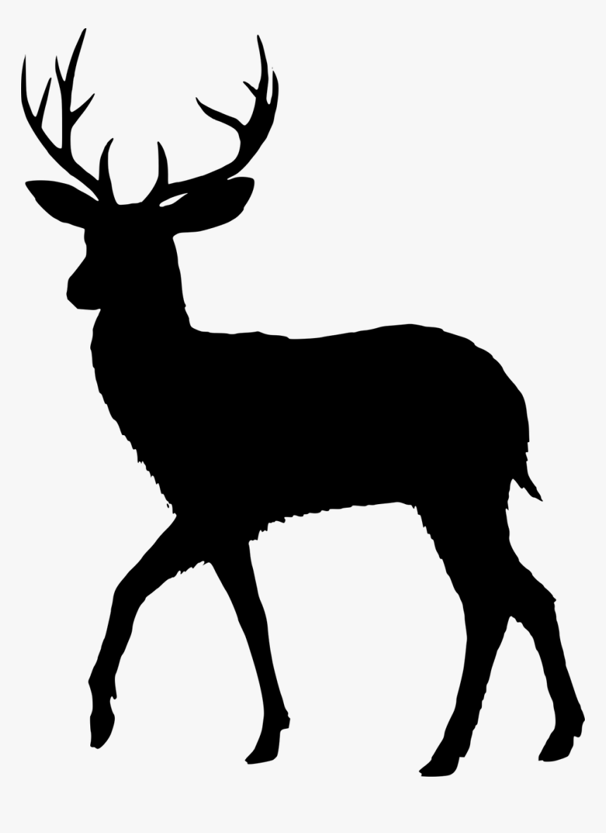 Download Transparent Deer Antlers Silhouette Png - Deer Silhouette ...