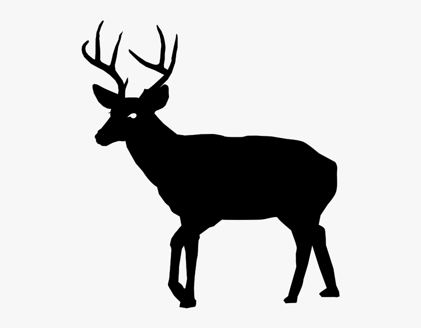 Art,stencil,graphics - White Tailed Deer In Silhouette, HD Png Download, Free Download