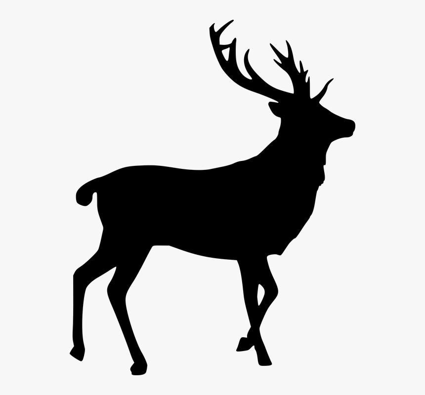 Elk, Silhouette, Cut Out, Stag, Bull - Reindeer Transparent Background, HD Png Download, Free Download