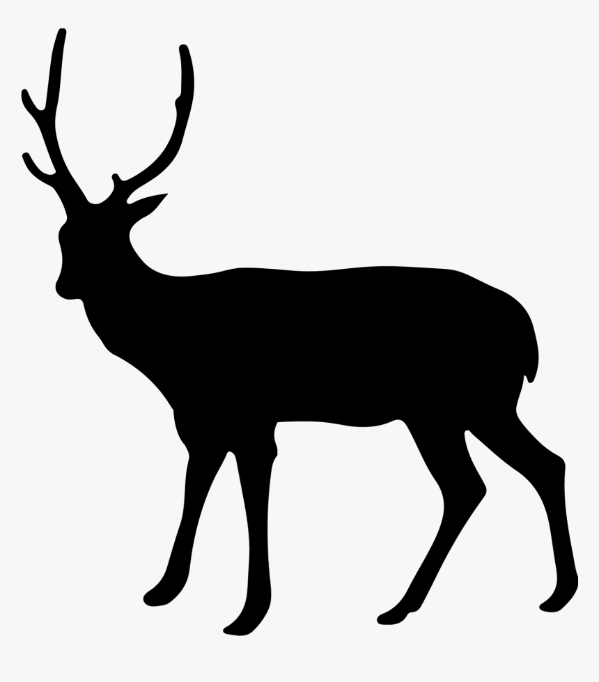 Cow Elk Clip Art, HD Png Download, Free Download