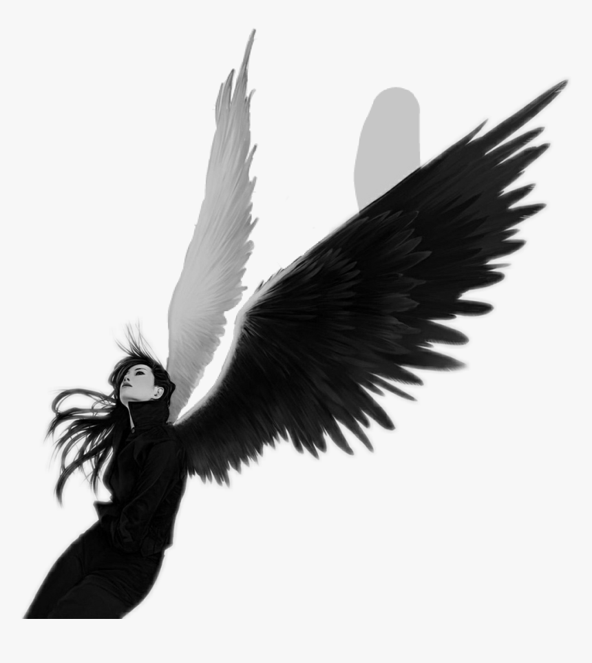 #demon #angel #ángel #demonio #mitadangelmitaddemonio - Angel Con Alas Blancas Y Negras, HD Png Download, Free Download