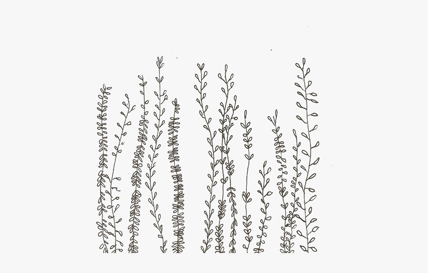 Bts Flower Notebook Floristry Spiral - Black And White Flower Png, Transparent Png, Free Download