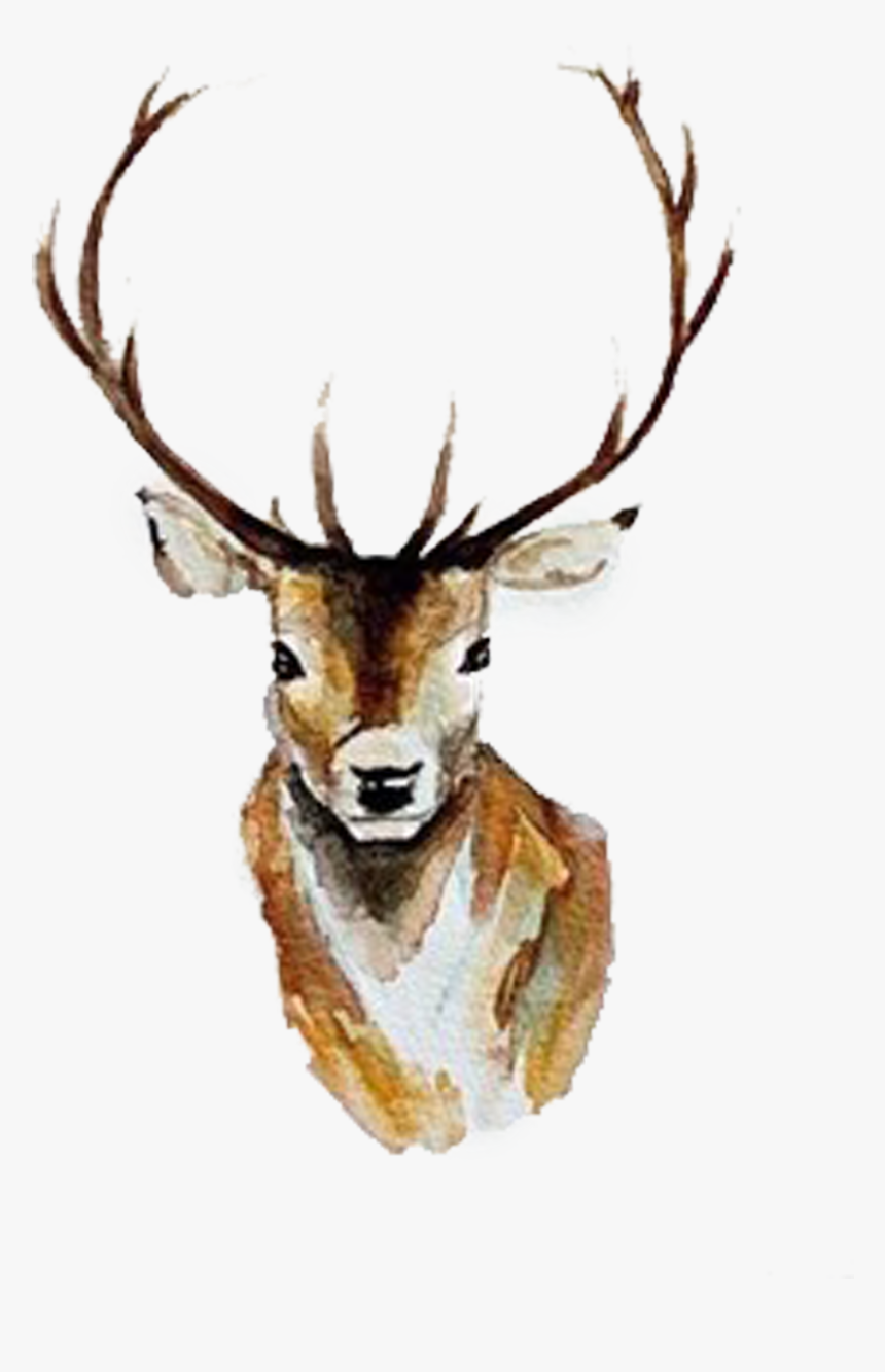 Transparent Deer Antlers Clipart Black And White - Deer Watercolor Paintings, HD Png Download, Free Download