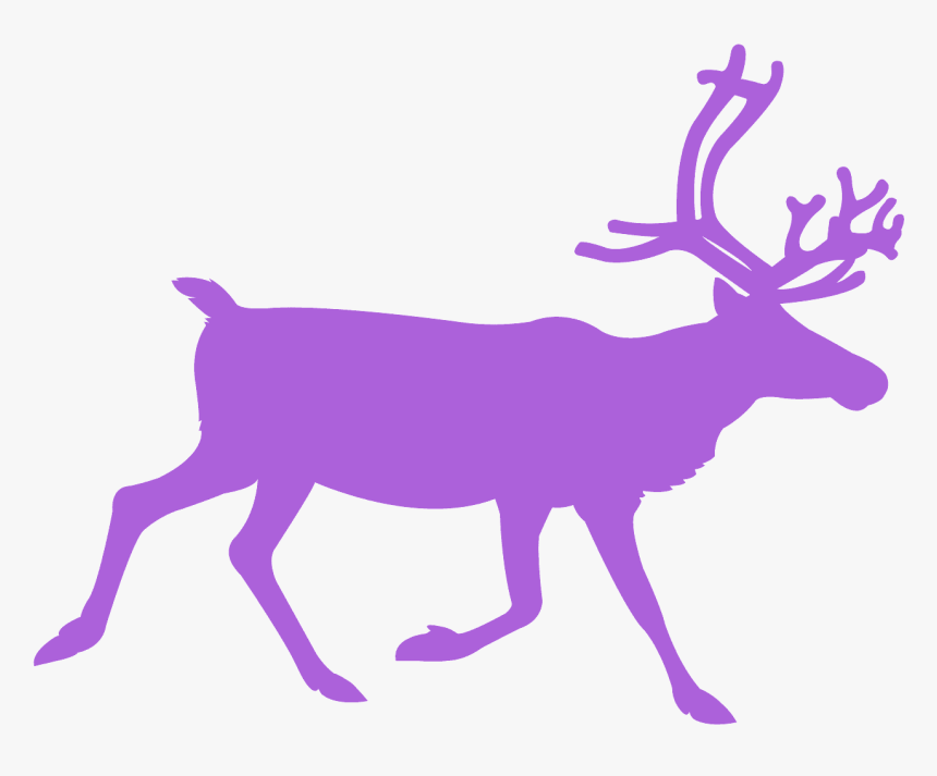 Elk, HD Png Download, Free Download