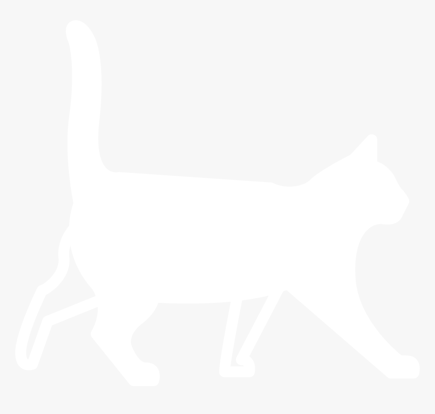 Domestic Short-haired Cat, HD Png Download, Free Download