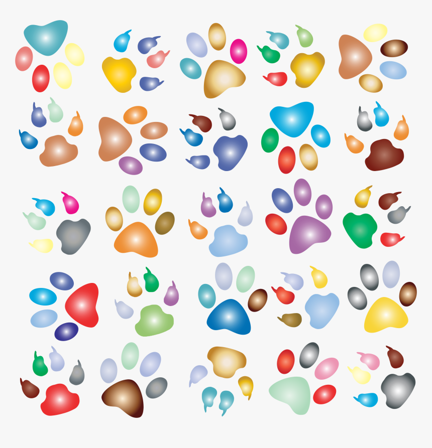 Colorful Paw Prints Pattern Background Reinvigorated - Animal Paw Prints Background, HD Png Download, Free Download