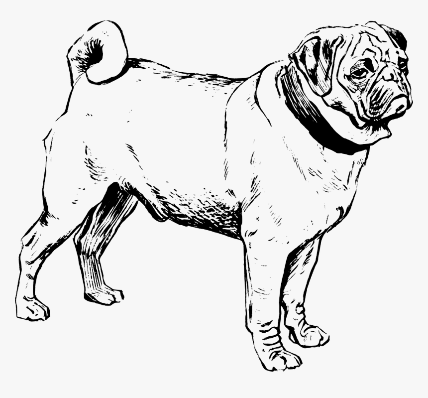 Clipart Pug Black And White, HD Png Download, Free Download
