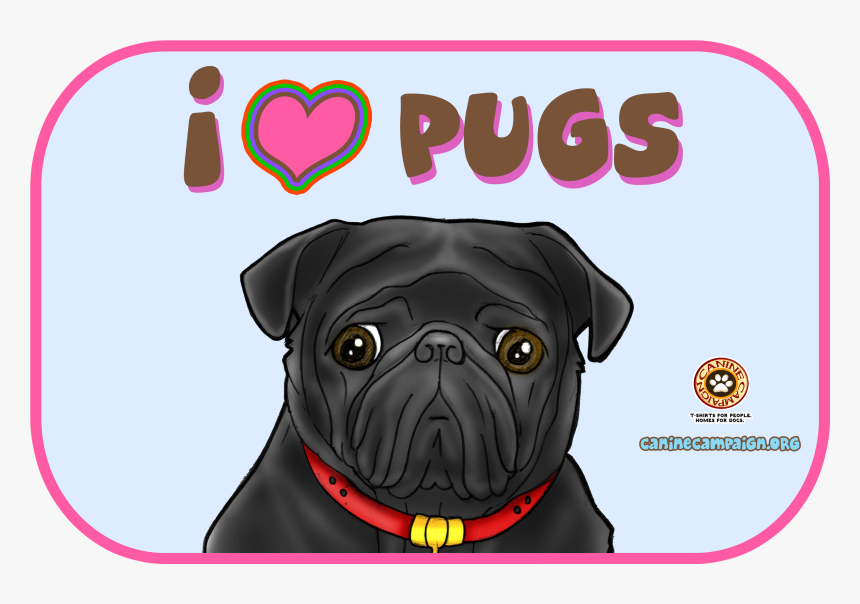 Pug, HD Png Download, Free Download