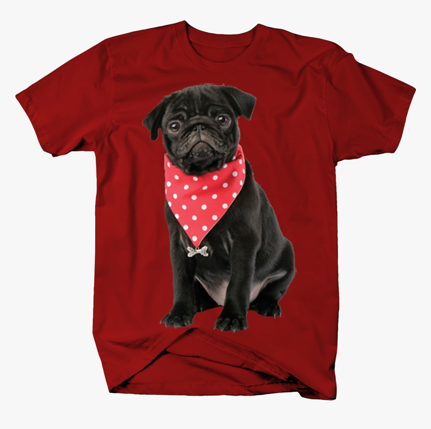 Black Dog With Red Bandana, HD Png Download, Free Download