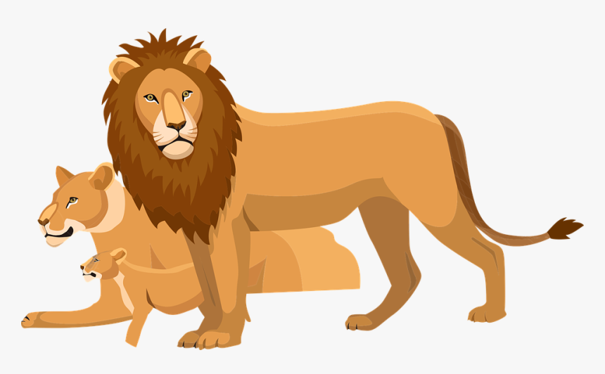 Lion, Cub, Wildlife, Animal, Wild, Nature, African, - Lion King 2019 Bags, HD Png Download, Free Download