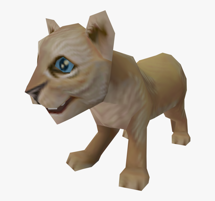 Pet Lion Cub, HD Png Download, Free Download