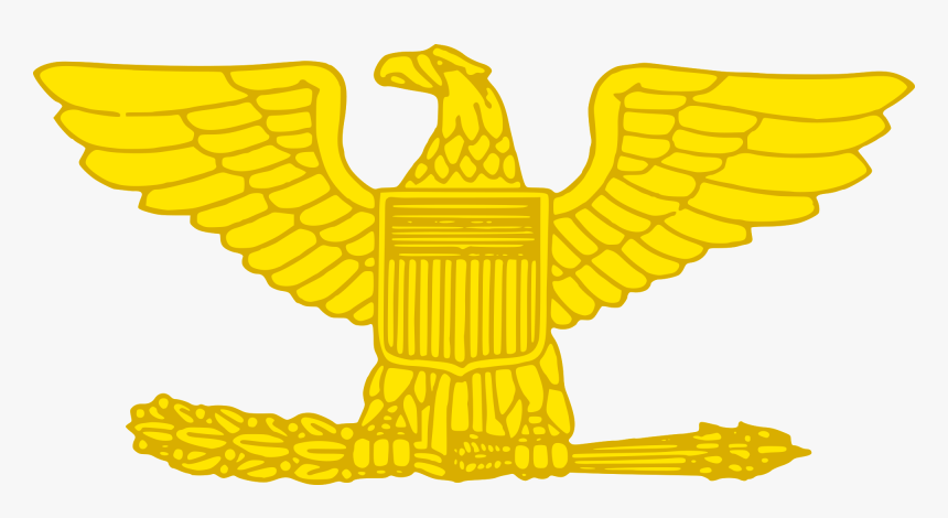 Colonel Gold - Rank Colonel, HD Png Download, Free Download