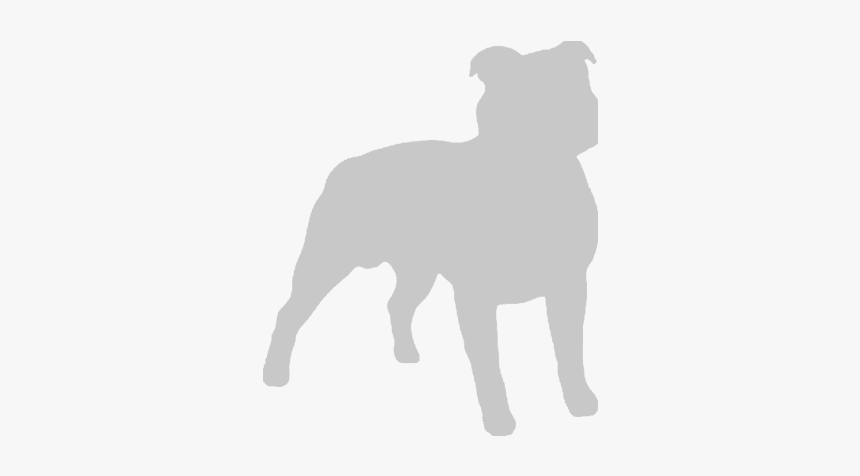 Staffyiconblack - Pug, HD Png Download, Free Download