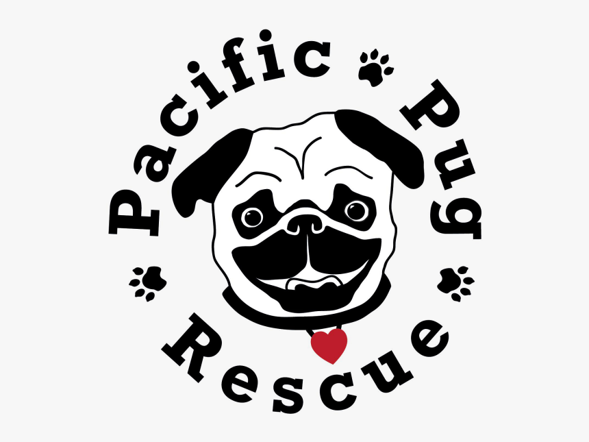 Image - Pacific Pug Rescue, HD Png Download, Free Download