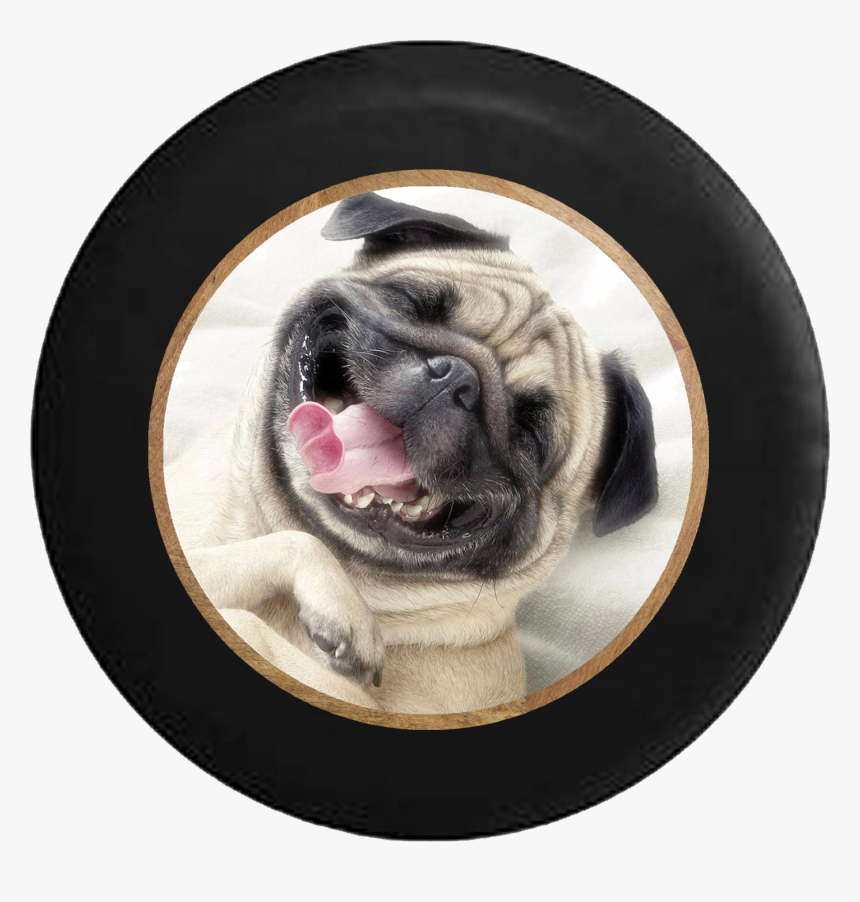 Transparent Black Pug Png - Spare Tire Covers Animals, Png Download, Free Download