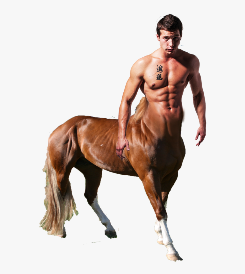 Centaur Png, Transparent Png, Free Download