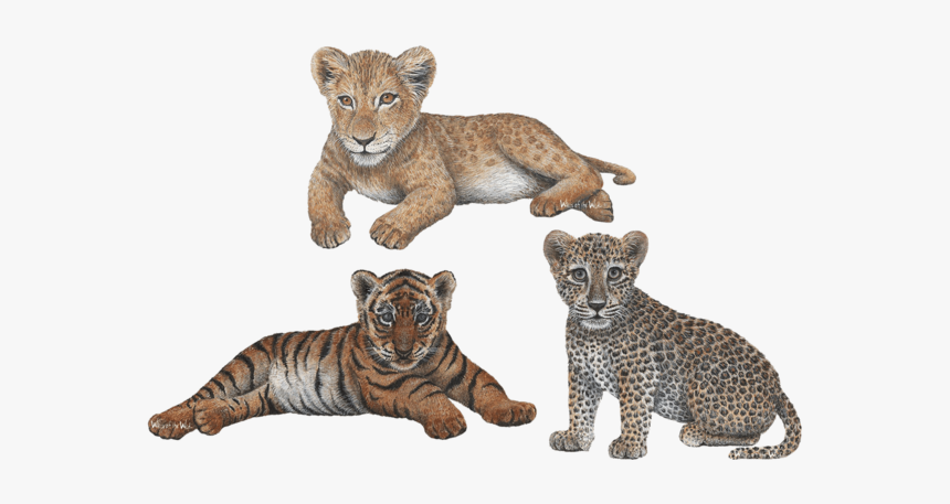 Big Cat Cubs Combo Pack Jungle Animals Wall Decals - Tiger With Cub Png, Transparent Png, Free Download