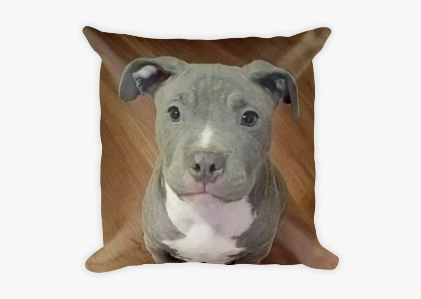 Puppy On A Dog Bed Pitbull, HD Png Download, Free Download
