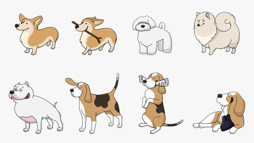 Dog, Animal, Corgi, Beagle, Bolonka, Spitz, Pitbull - Coonhound Cartoon, HD Png Download, Free Download