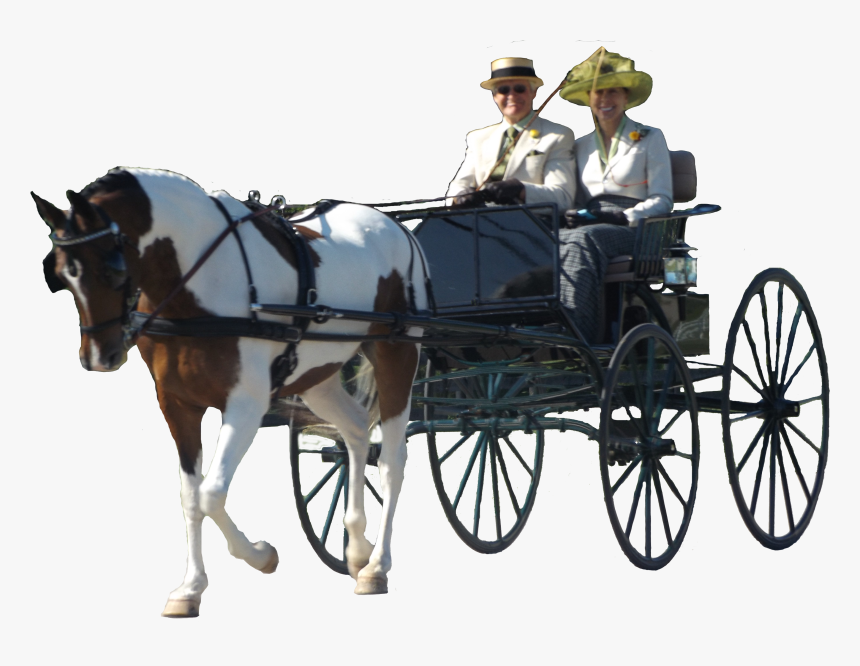 Horse And Carriage Png, Transparent Png, Free Download