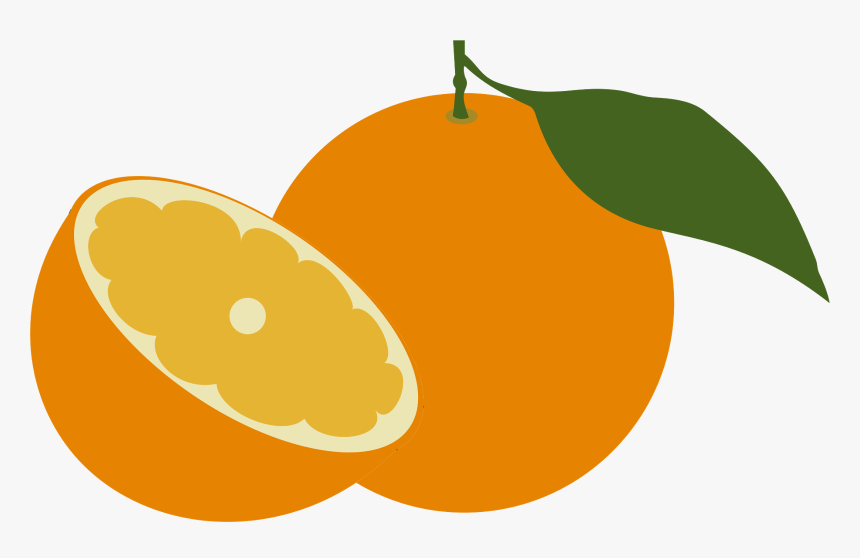 Imagen De Una Naranja Animada, HD Png Download, Free Download